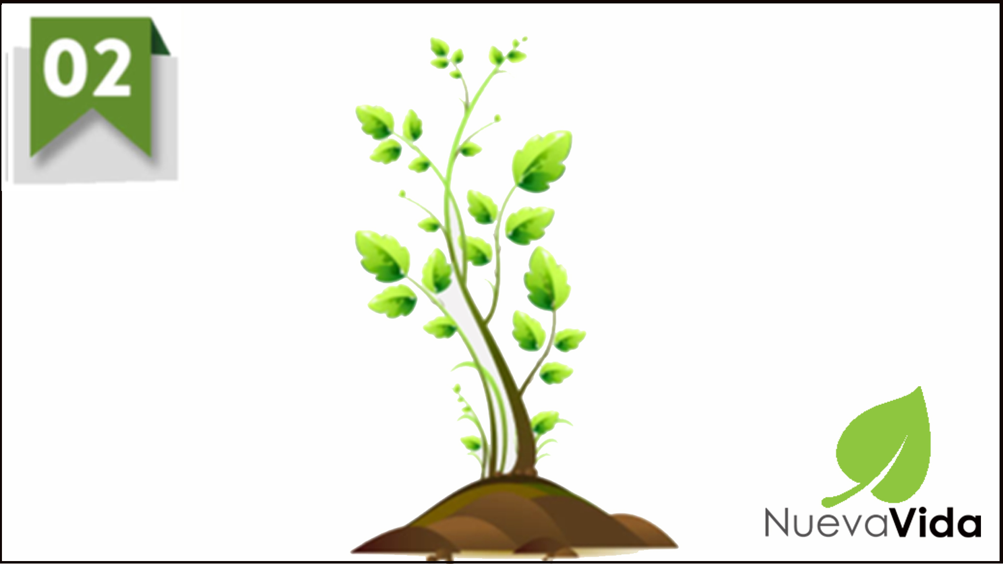 FASE 2 – Crecimiento