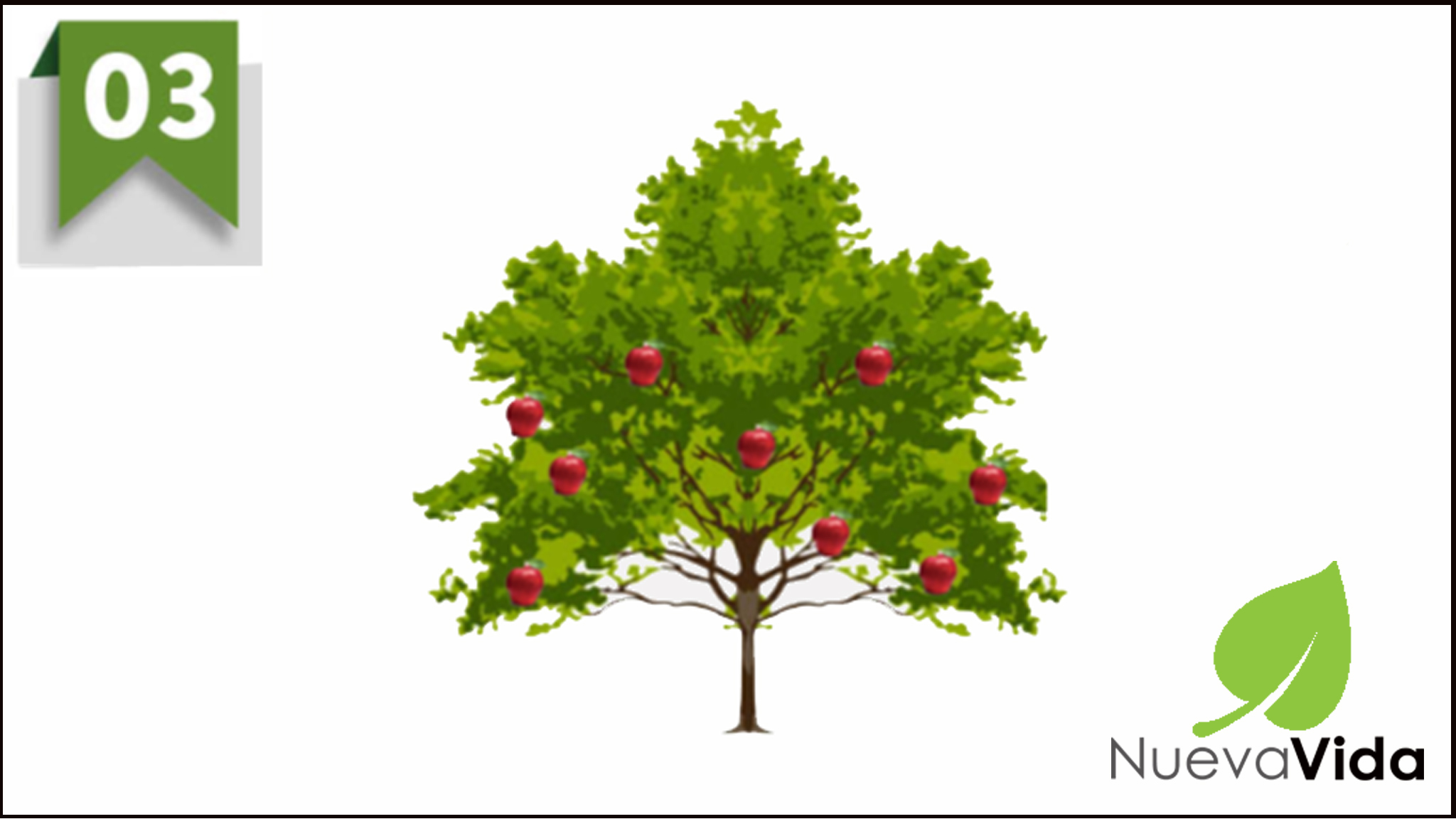 FASE 3 – Floración